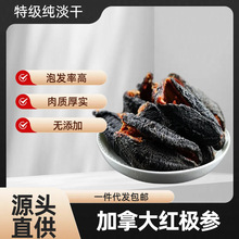 淡干红极参 深海加拿大红海参非即食海参北极参厚肉清平一件代发