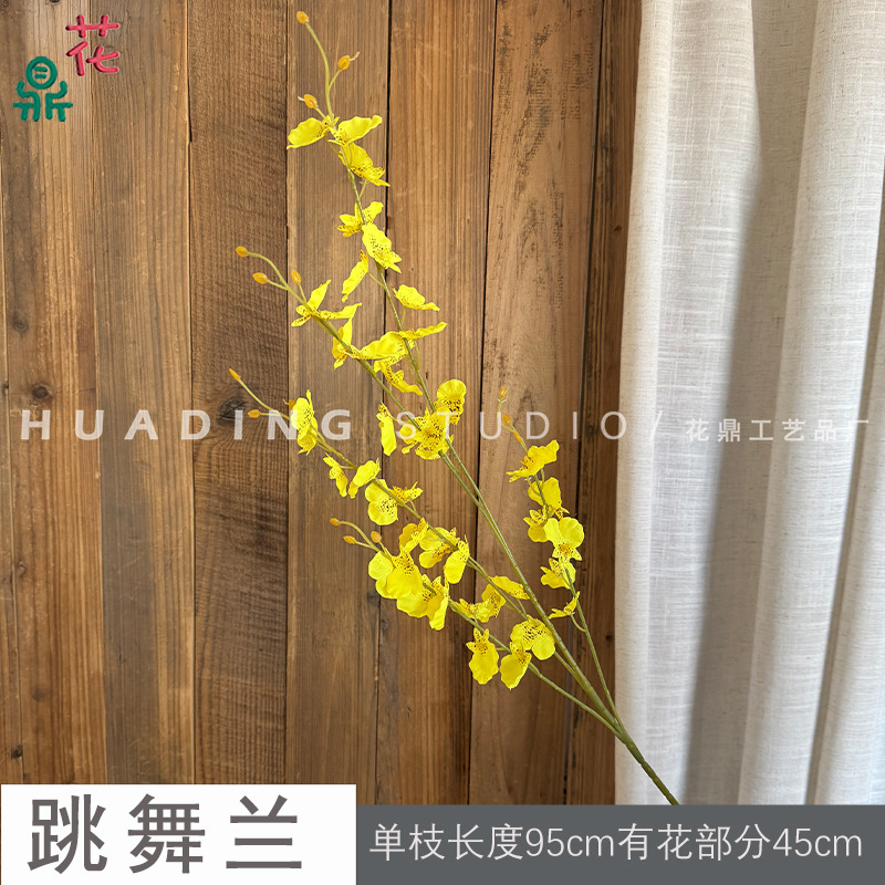 Hoa Lan Nhảy Múa, Vàng
