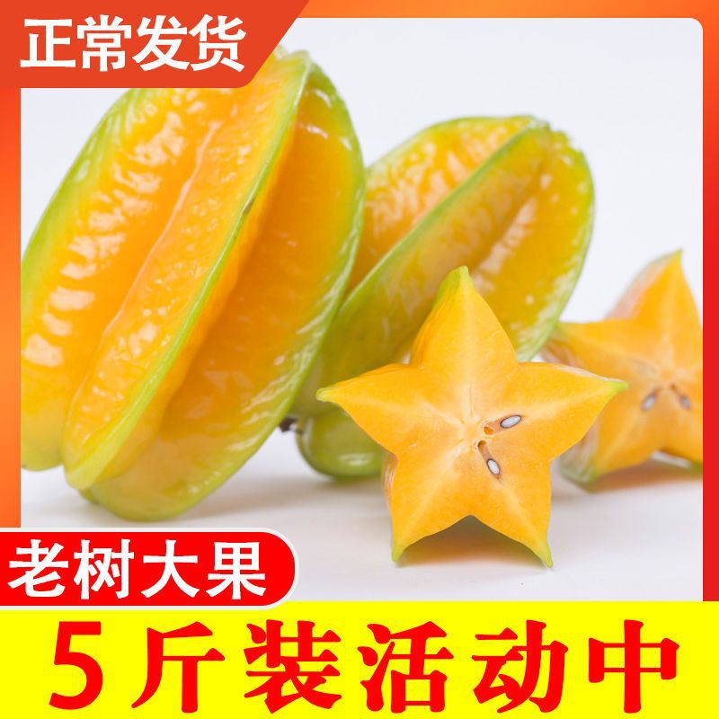 杨桃应季新鲜水果2/3/5/10斤福建下河现摘甜阳桃整箱批发包邮工厂