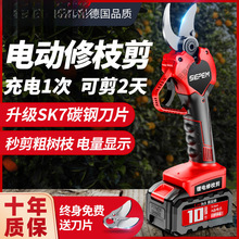 ���M��늄Ӽ�����֦����������ʽҺ���o���늈@ˇ�@�ִ�֦