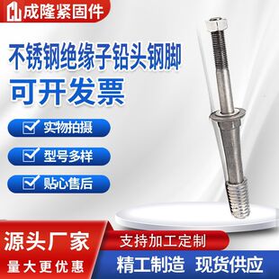 Hebei Chenglong Factory Direct Supply 304 Stainless Steel Insulator Lead Head Steel Feet Large Quantity Preferential
