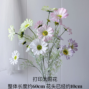 4�^��ɣ��ins�L��ɣ��3D�ջ���c�Ҿ��b羳���Q���l�ջ����滨