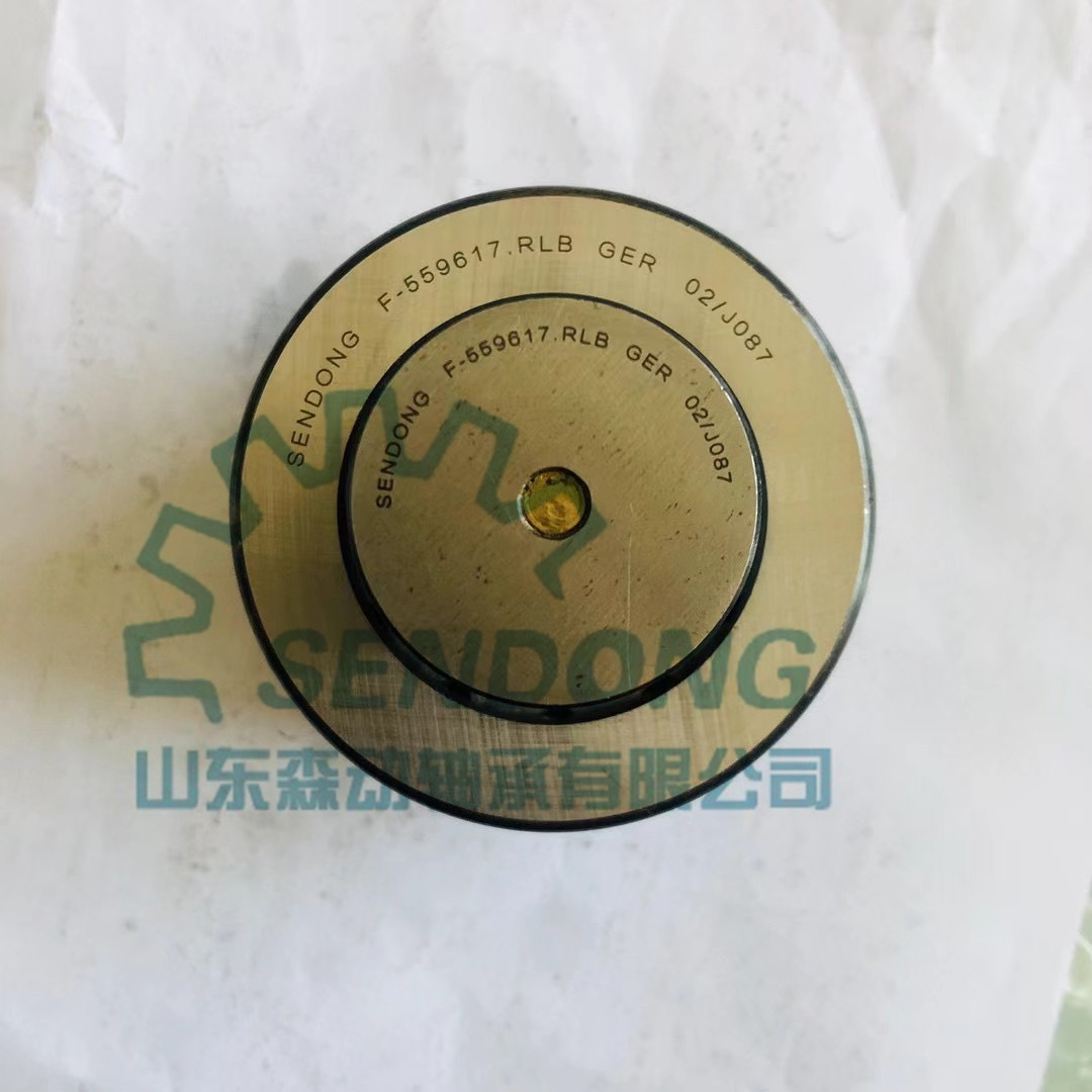 非标轴承F-559617.RLB向心圆柱滚子轴承