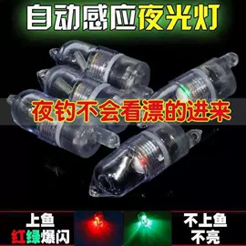 其他垂钓用品;夜钓灯;太空豆