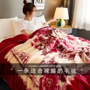 ë̺�Ӻ��p�����᠖���ӆ����p��ɺ���q̺�ﶬ�����ΌW����c�w̺