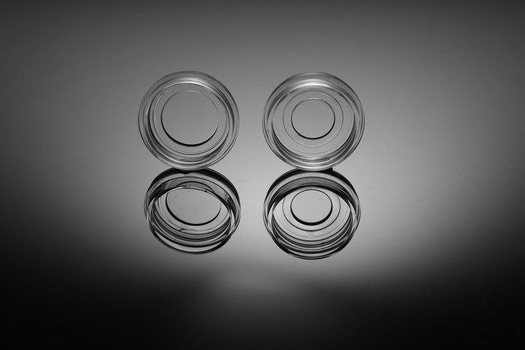 NEST玻底培养皿 801001 801002 φ20mm 15mm TC 共聚焦培养皿1