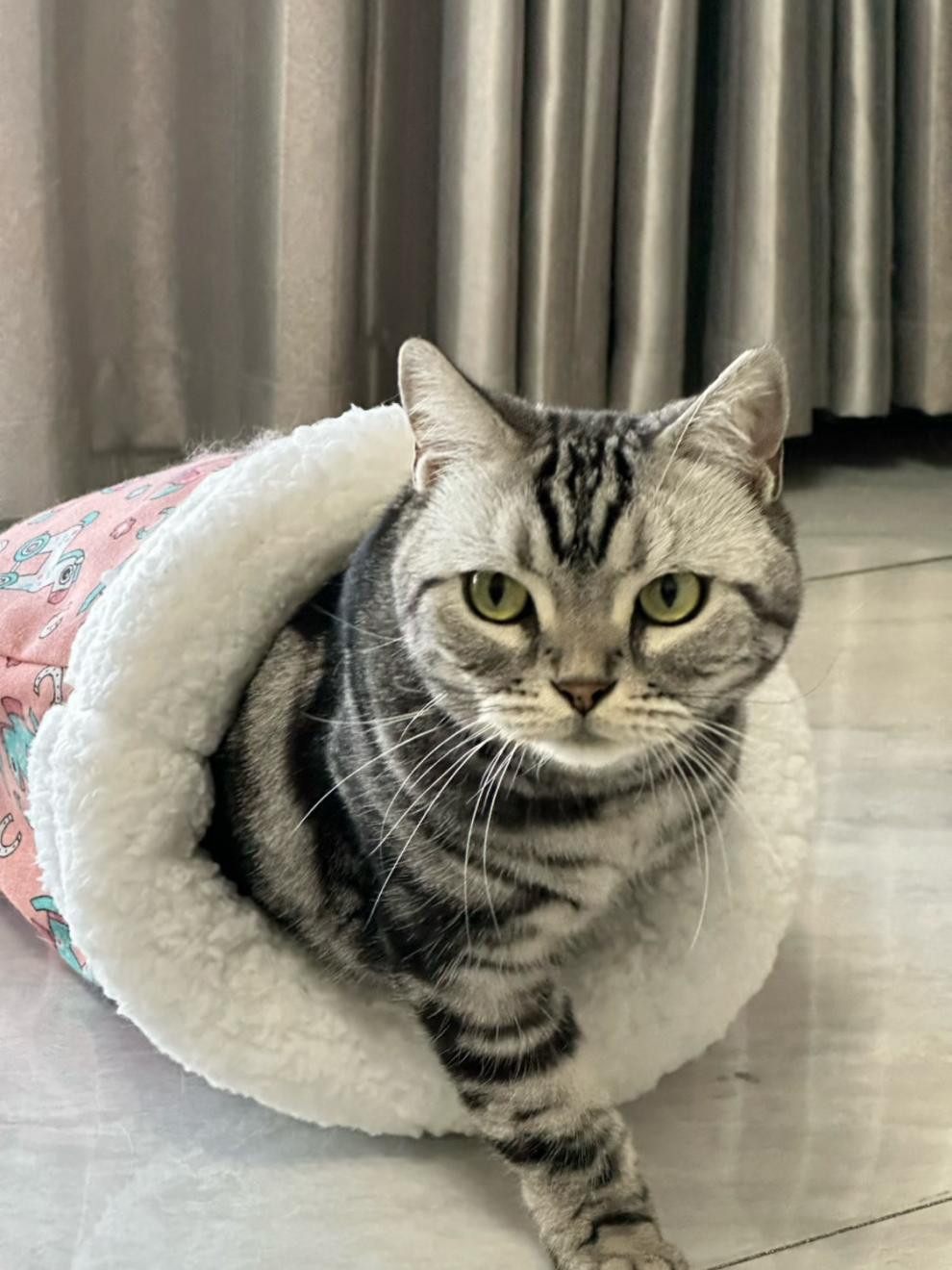 596a46fe-4806-48c5-af80-541917716a3e.jpe