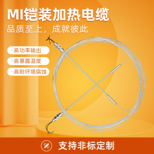MI armored with belt mineral insulated alloy heating wire industrial armored heating cable anti-corrosion, anti-freezing and high temperature resistant