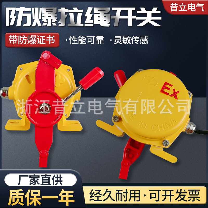 防爆拉绳开关BKLT2 EXKLT2 BXYLS-II粉尘防爆急停开关XLLS BX5800