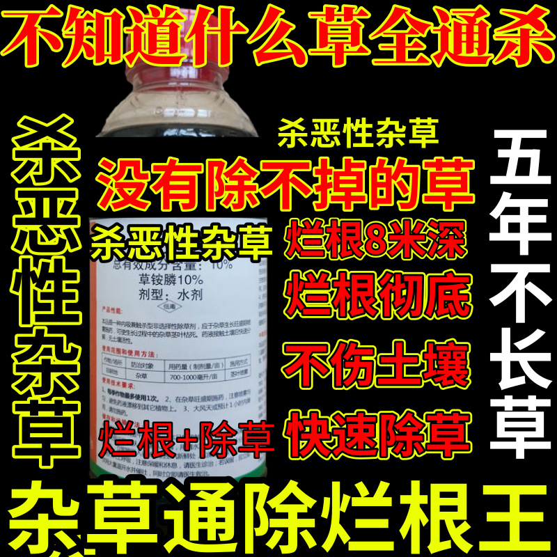 不知道什么草全通杀精草铵膦铵盐杀恶性杂草除草剂烂根剂杀草王