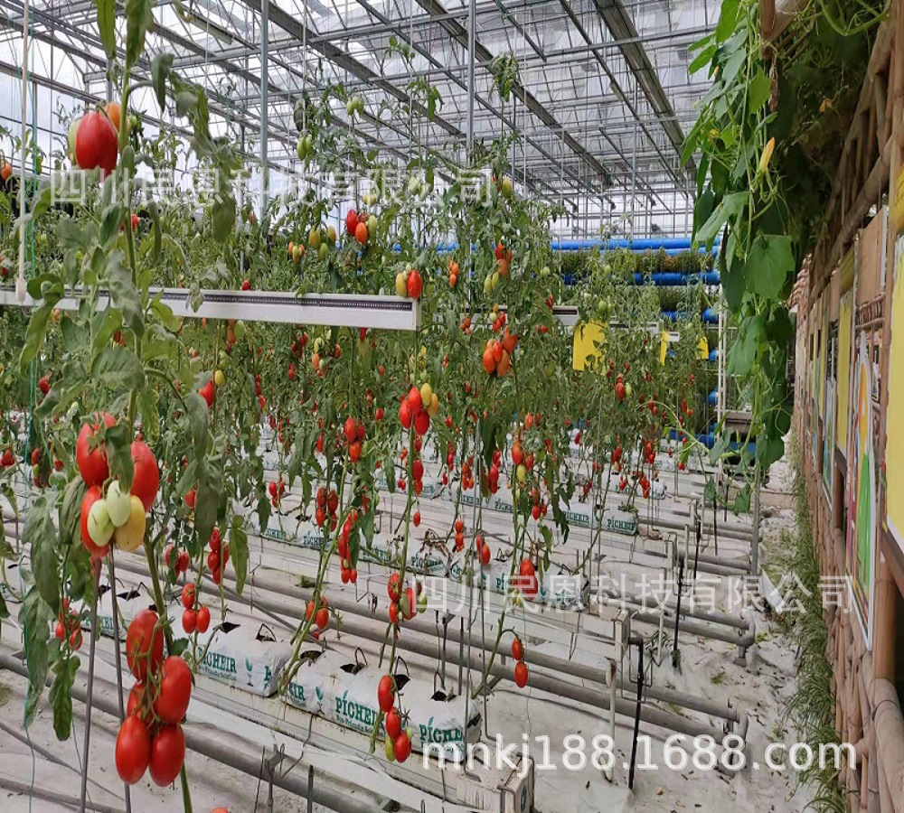 mmexport1627002171606