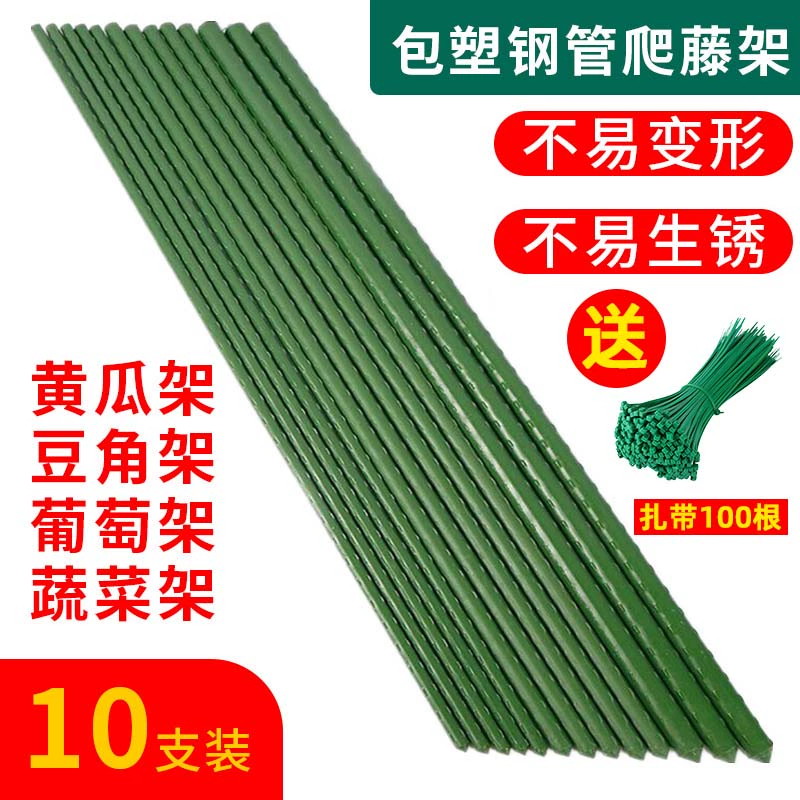 Выращивание овощных опорных стержней для восхождения на ротанговую подрамку для цветов винограда помидор фасоль огурец сумка пластиковая стальная труба для растений Садоводство