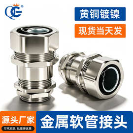 定制金属软管锁紧防水接头穿线包塑波纹管蛇皮管固定锁头连接器铜