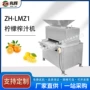 专业工业果蔬不锈钢榨汁机