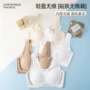 三阶段运动固定女童背心