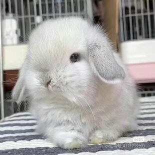 ���N�M���pѪ�������m٪���ú��m����������С�w�������ӻ��w