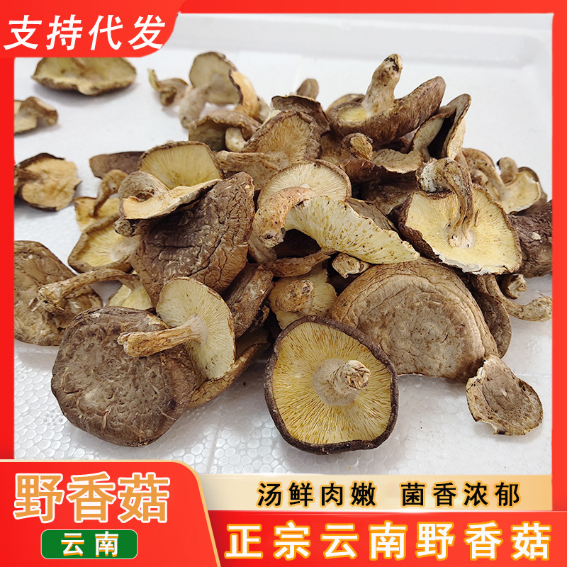 Yunnan Wild Shiitake Mushrooms, Dried Mushrooms, Soup, Delicious and Fragrant Wild Mushrooms, Shiitake Mushrooms Yunnan Wild Shiitake Mushrooms, Dried Mushrooms, Soup, Delicious and Fragrant Wild Mushrooms, Shiitake Mushrooms