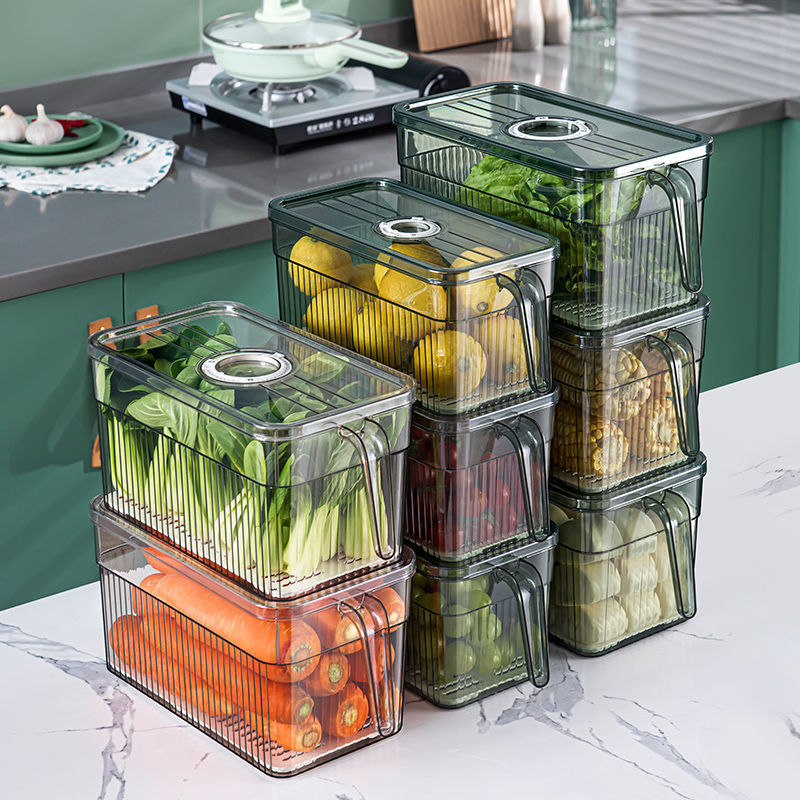 Handle Food Grade Sealed Preservation Box Kitchen Fruit and Vegetable Storage Freezer Box Household Refrigerator Storage Box with Lid
