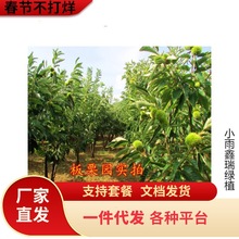 һ�����l�������޽����������N�F�����ϱ����Nֲ��t�۰������