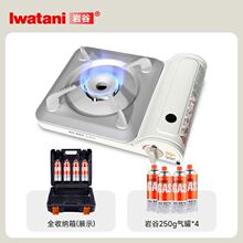 ��ʽ�t�¿�29-S��y����t����Lȼ��t������˹�t¶�I��˹�t