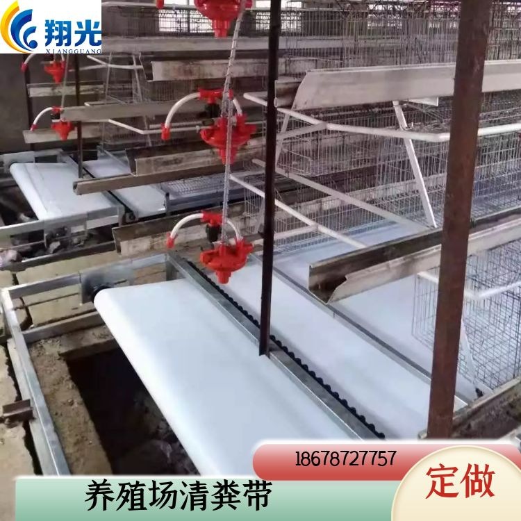 三层笼养清粪带 层叠笼传送带 鸽舍出粪带 鹌鹑粪接粪布厂家