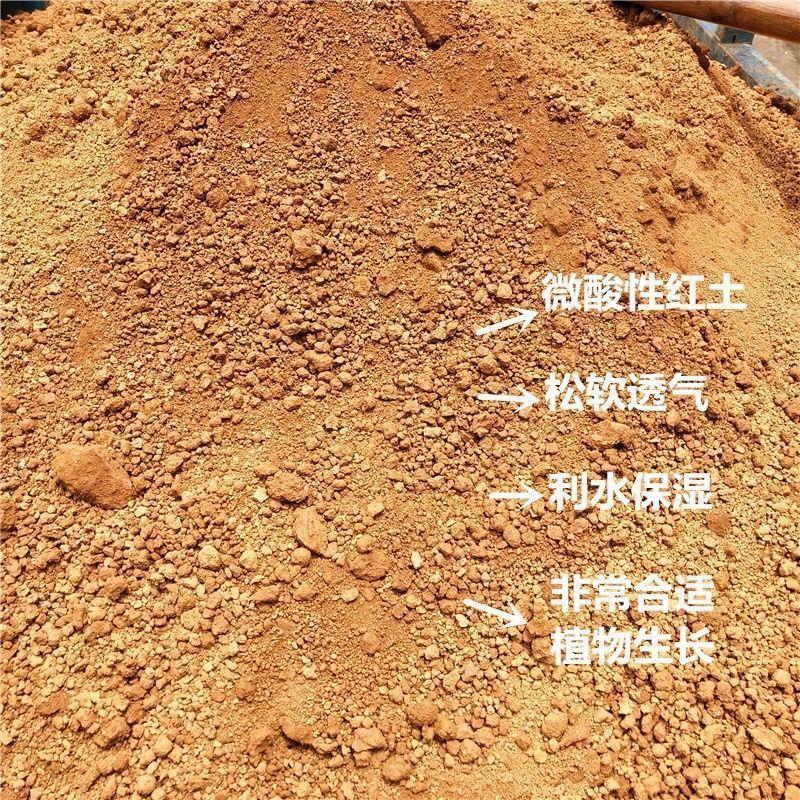 天然黄土高山黄泥土种植土养花土种菜土种树土园土土壤宠物养殖土|undefined
