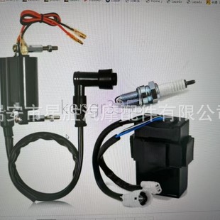 Baiyou300 Ignition Coil Set