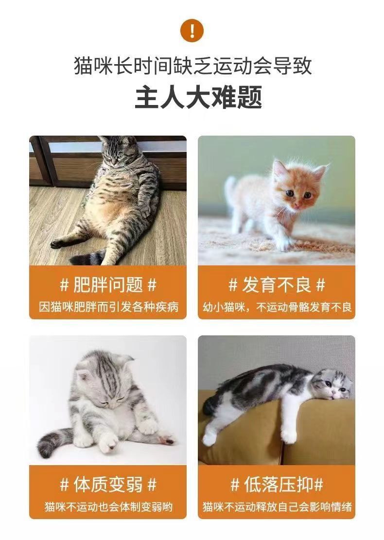 3030ed5e-4464-491e-a99d-ef022e01c4ed.jpe