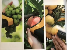 �� ��ˮ���Ƕȟo�p�z�yH-100F ��ȣ�Ӳ�ȹ����ɫ�o�p�z�y�x