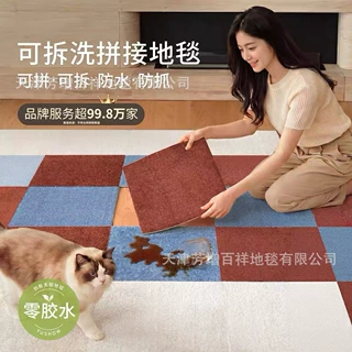 可拆洗拼接地毯防水宠物垫客厅沙发满铺块毯原木风卧室床边毯块毯