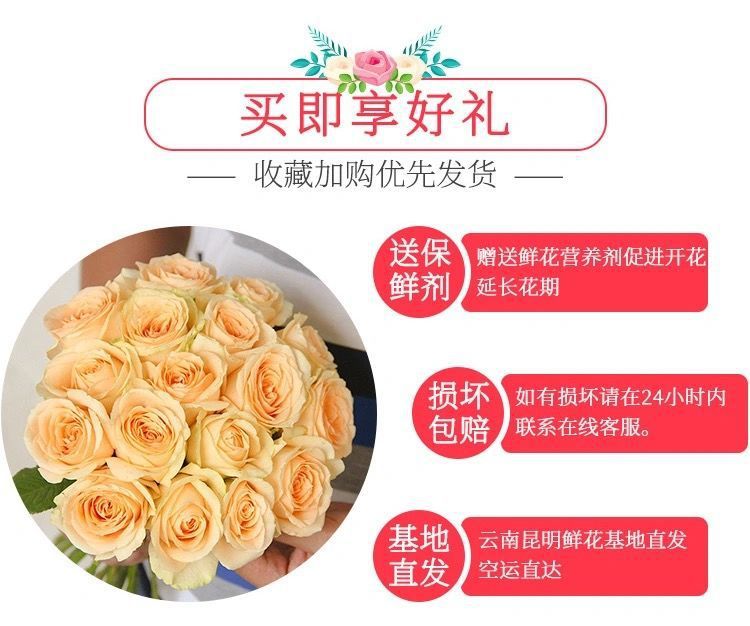 9e4ded7c-ade2-4ca3-8d3d-8ecdc50f114b.jpe