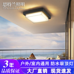 新型屋外防水天井灯現代シンプルな露店が入り口の廊下に入った庭のベランダの天井灯