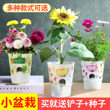 �W�t�ֹ��Nֲ�����׃��@�^��ֲ�����L���rdiy�N�Ӱlѿ�������Ԕ[