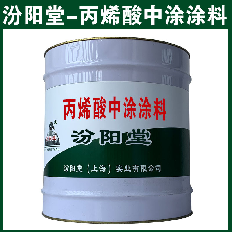 丙烯酸中涂涂料，汾阳堂，可用腻子刮涂填补基层！