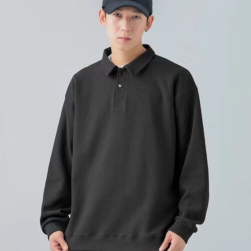 POLO Shirt Hoodie for Men - Spring and Autumn Season, Heavyweight, Japanese Style, Long Sleeve, Trendy Brand, Academic Style, Hong Kong Style, American High Street, Solid Color, Outerwear