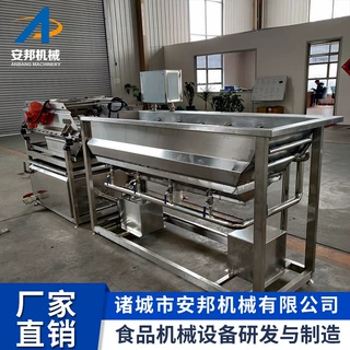 厂家红枣清洗机油麦菜气泡清洗设备食堂净菜加工流水线果蔬清洗机