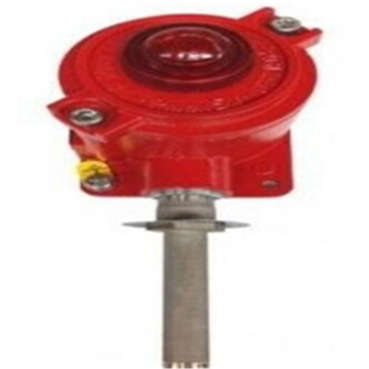 意大利IMX警报器 气体检测仪 气体探测器