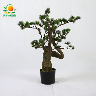 �����ӭ�����҃����P�[�� �辰���_�h�Ɏ�����ֲ��Ƶꙻ���쾰
