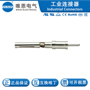 WAIN/Ψ��CDSFP1.0S1010171240002D�p���