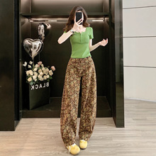 2026����p�g���bһ�����nϵT��㼑л�ɫ���ѝ���e�\�Ӄɼ���Ů