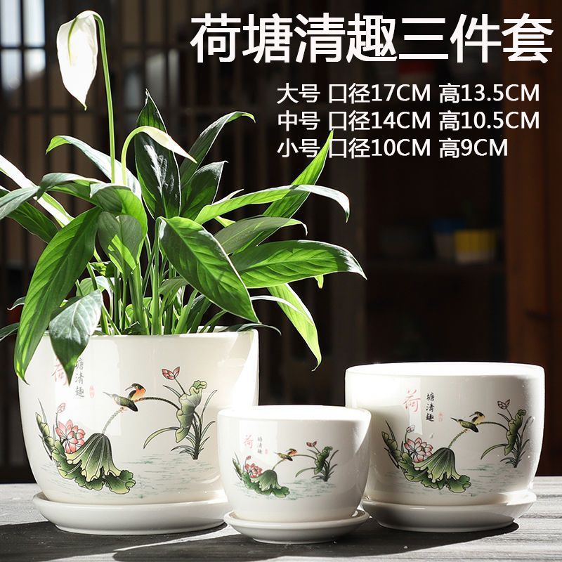 연꽃 연못 3종 세트