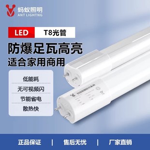 Λρ����led��������t8�L�l������ȫ�׹���֧�ܹ��1.2�׸�����