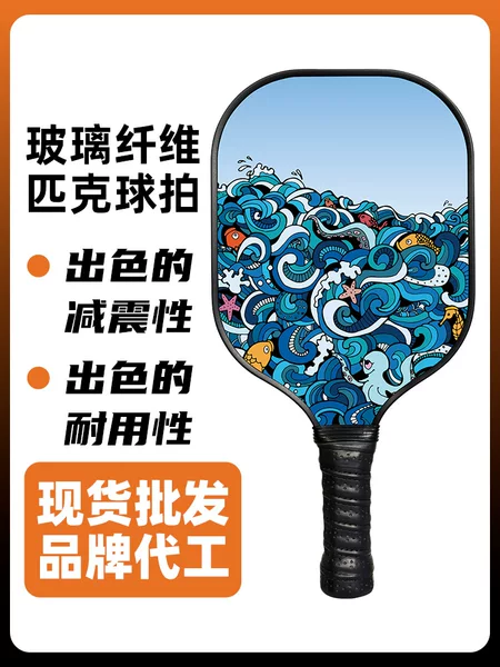 Pickleball Racket Fiberglass Complete Set for Children and Adults Professional Competition Paddle Racket