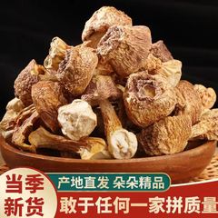 アガリクス ブラジリアン ユナン特産の乾物、食用ブラジリアン キノコ、バルク、卸売、直接供給キノコ