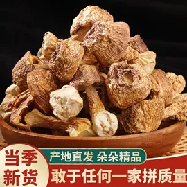 其他滋补;其他药食同源;参类滋补品