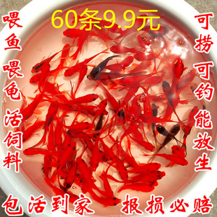 �ݽ�����С�~��ˮ���B�ͻ����ˮ�~�^�p�~����С���~���~��һ��