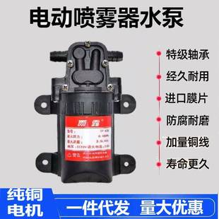 �r��늄Ӈ��F����Ĥ��ˮ�û�����12Vˮ�ÏS���N�����l��¶4�_��