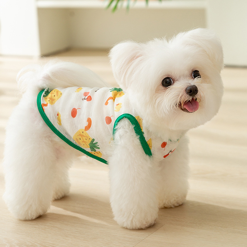 Primavera y verano perros delgados transpirables piña fruta chaleco de dibujos animados de dos patas gatos que osos peluche ropa de perro mascota
