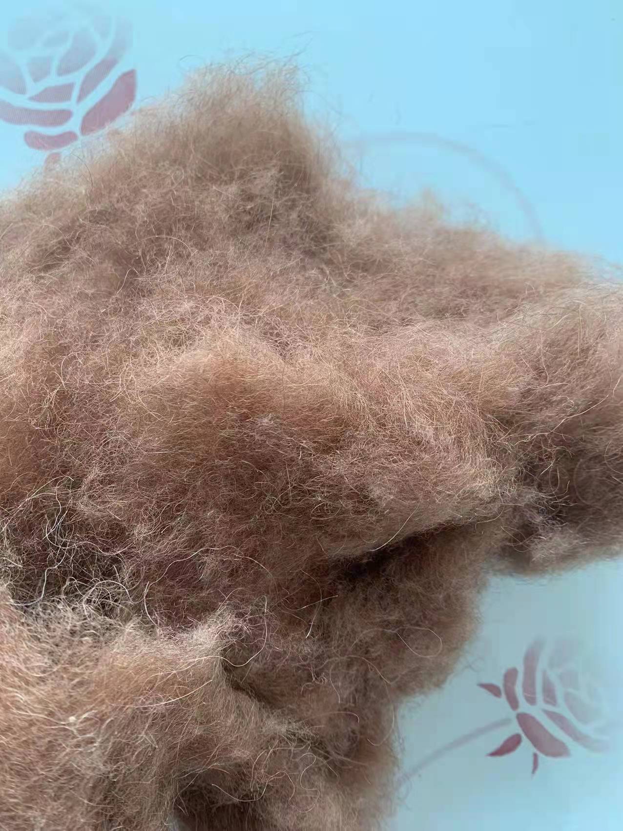 微信图片_20220221111031