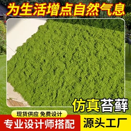 仿真绿植;花盆装饰;仿真盆栽